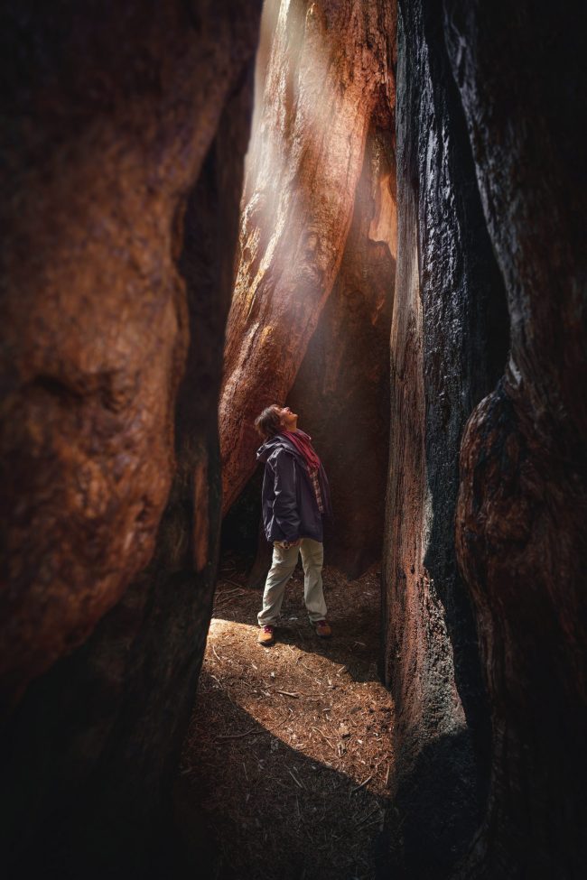 jeff-kepler-iEYq-PFWUFs-unsplash