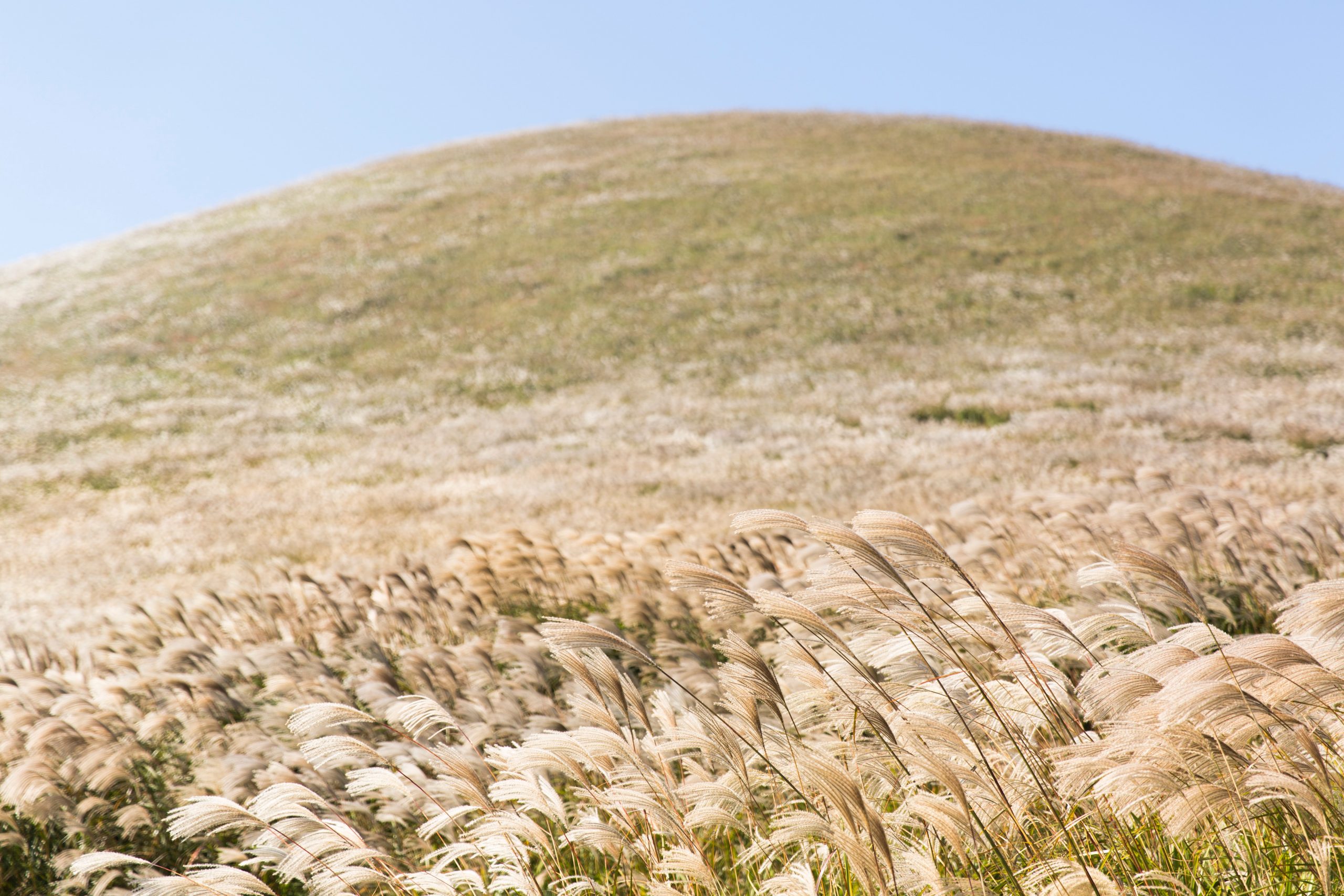 231-project-VjM0b5P7rog-unsplash