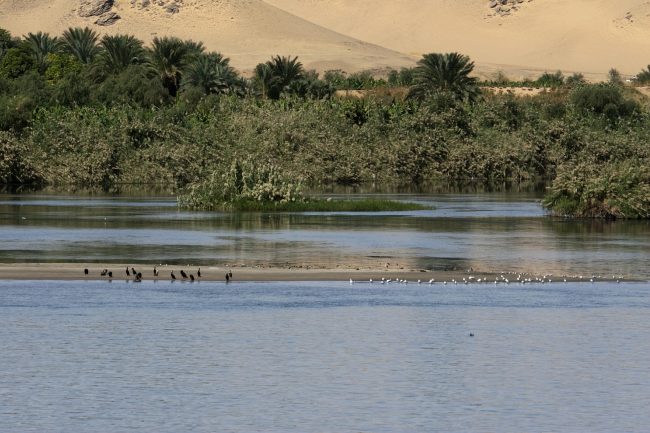 nile-441539_1920